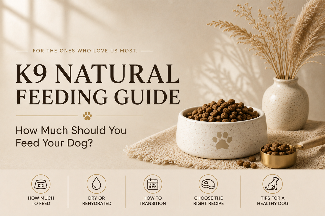 K9 Natural Feeding Guide: How Much Should You Feed Your Dog?