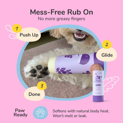 Nose + Paw Natural Moisturizer 50g