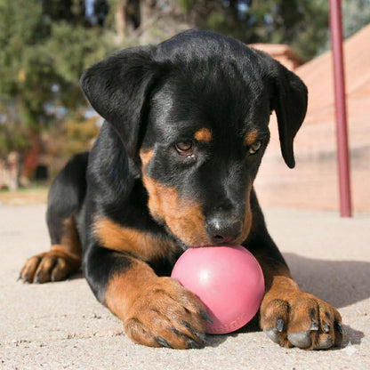 KONG Puppy Ball w/Hole