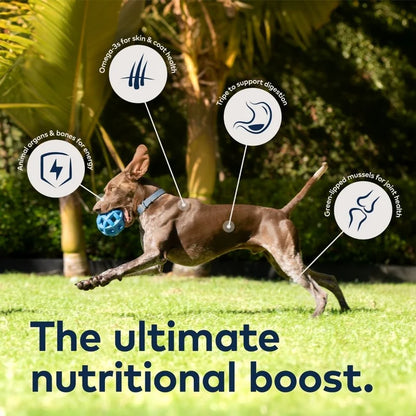 ZIWI Peak Air-Dried Beef Recipe for Dogs