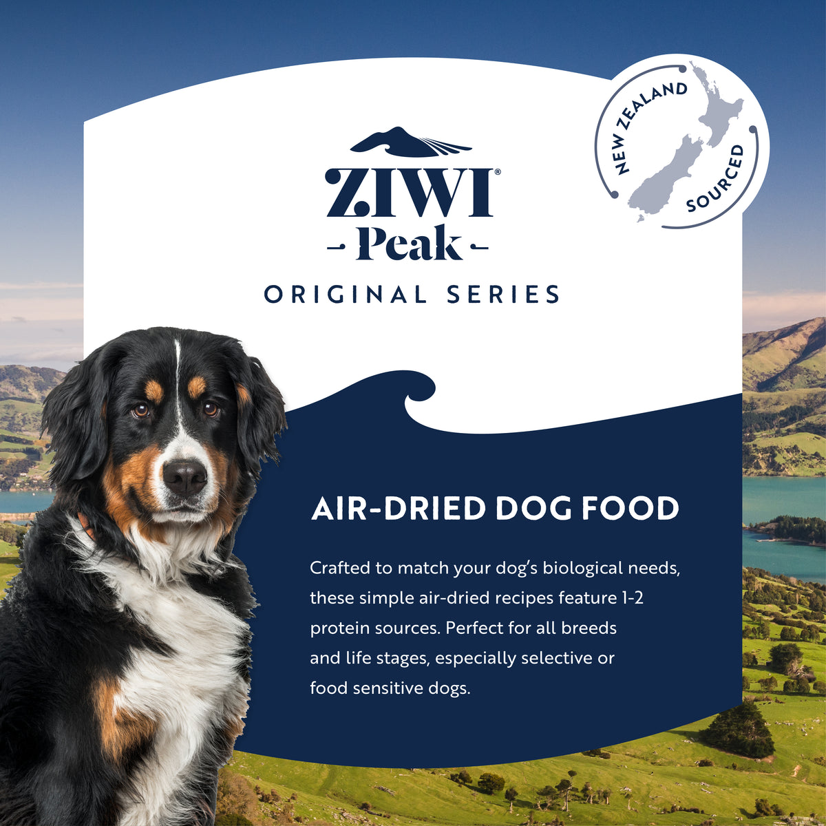 ZIWI Peak Air-Dried Beef Recipe for Dogs