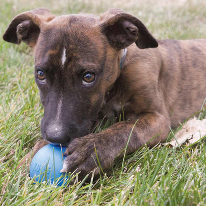 KONG Puppy Ball w/Hole