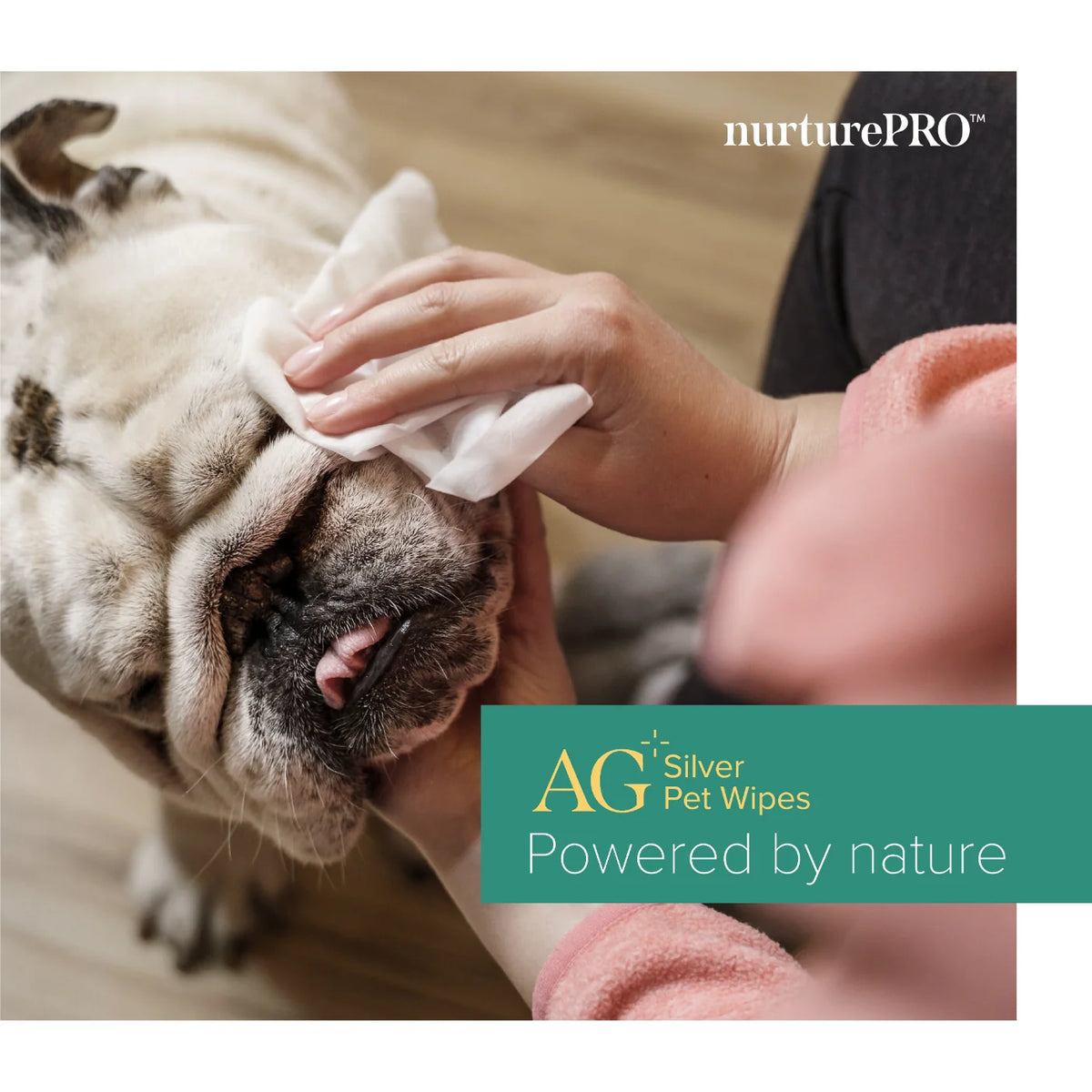 NurturePRO AG+ Silver Pet Wipes – 100 Sheets