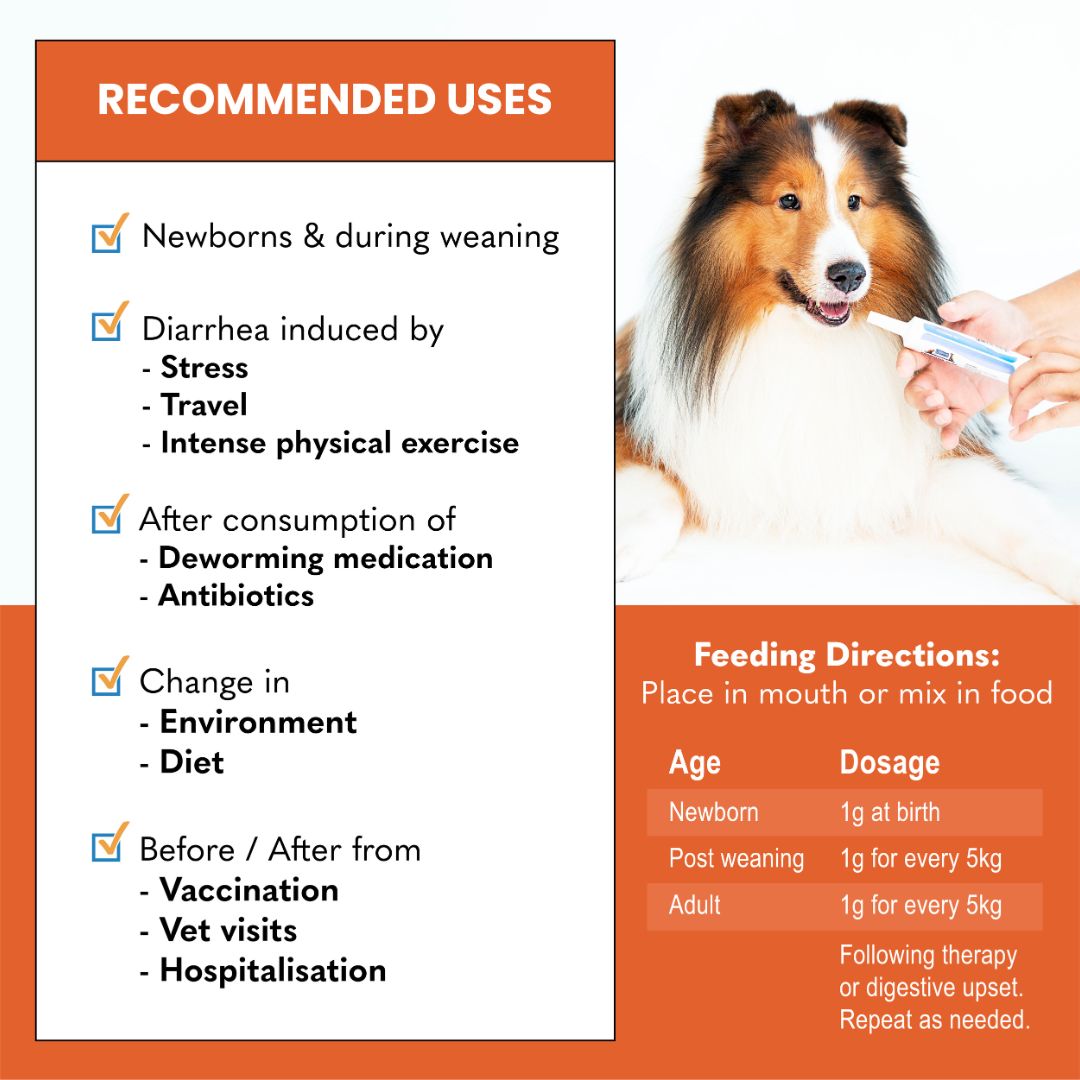 Probiotix™ Plus 30g
