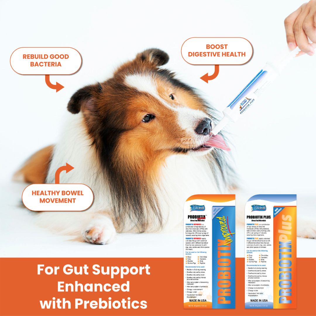Probiotix™ Plus 30g